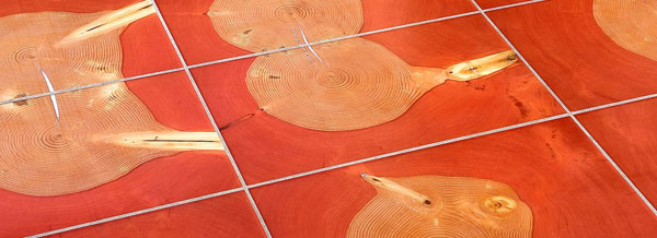 Finishes Seattle Floor, Is Hardwood Floor Sealer Toxic To Cats